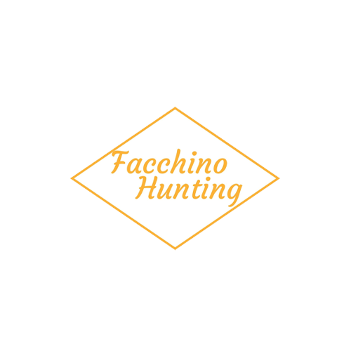 Fianensi's allevamento amatoriale del setter inglese cani da caccia